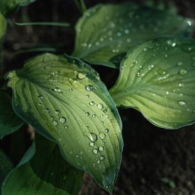 Juhtpõhimõtted & väärtused